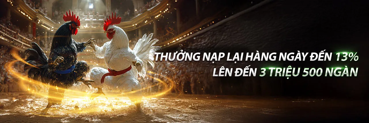 Sân đấu đá gà trực tuyến r88bet sôi động